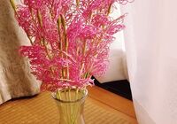 line_oa_chat_210628_174614